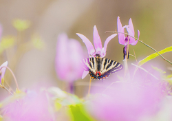 日の丸グループ 採用情報